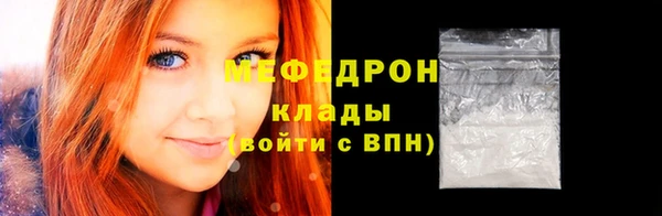 индика Снежногорск