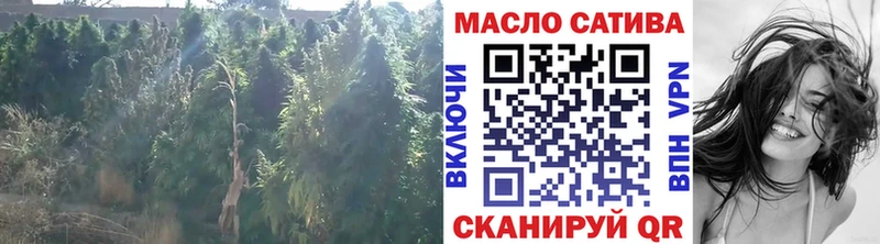 ТГК Wax  Купить где  Орск 